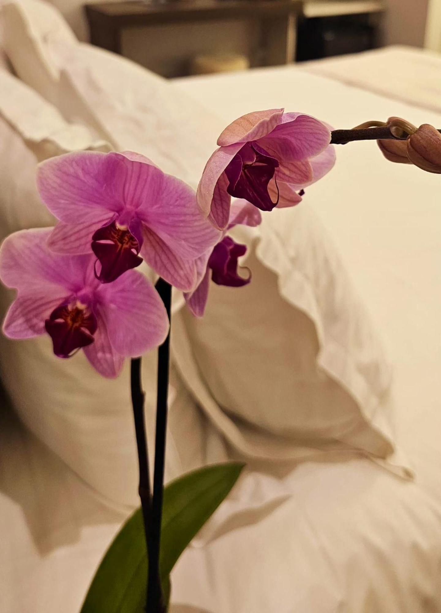 Stoa Rome Boutique Suites Екстериор снимка